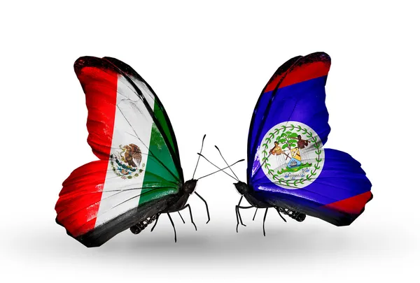 两只蝴蝶与墨西哥和伯利兹的翅膀上的标志 — 图库照片