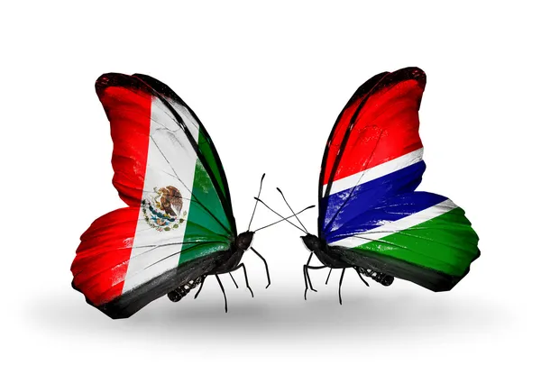 Twee vlinders met vlaggen van mexico en gambia op vleugels — Stockfoto