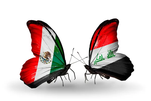 Two butterflies with flags of Mexico and Iraq on wings — Stock Photo, Image