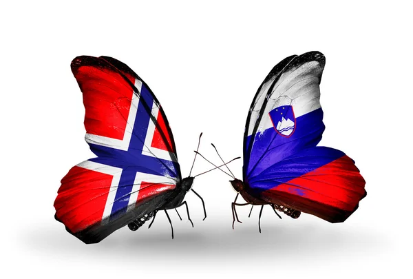 Papillons avec drapeaux Norvège et Slovénie sur les ailes — Photo