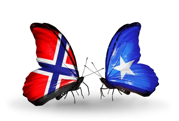 Kupu-kupu dengan bendera Norwegia dan Somalia pada sayap — Stok Foto