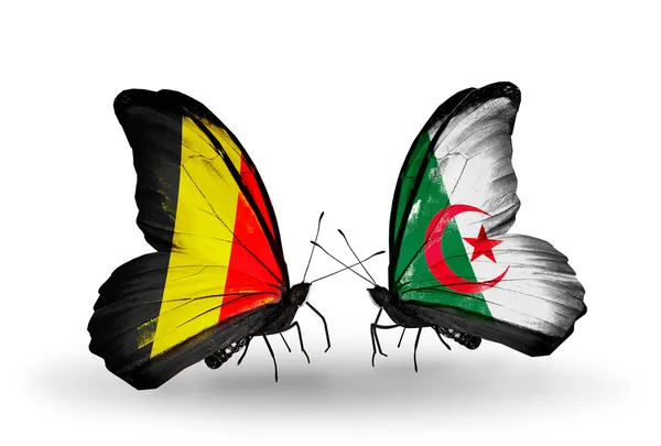 Butterflies with Belgium and Algeria flags on wings — Stock Photo, Image