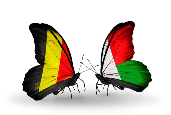 Butterflies with Belgium and Madagascar flags on wings — Stock Photo, Image