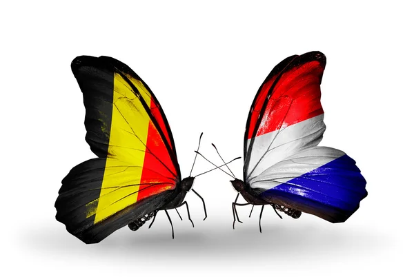 Butterflies with Belgium and Holland flags on wings — Stock Photo, Image