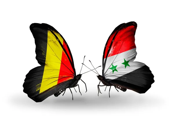 Fjärilar med Belgien och Syrien flaggor på vingar — Stockfoto
