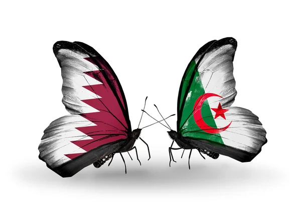 Farfalle con bandiere Qatar e Algeria sulle ali — Foto Stock