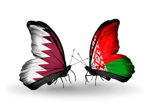 Schmetterlinge mit Katar und Weißrussland-Flaggen auf Flügeln — Stockfoto