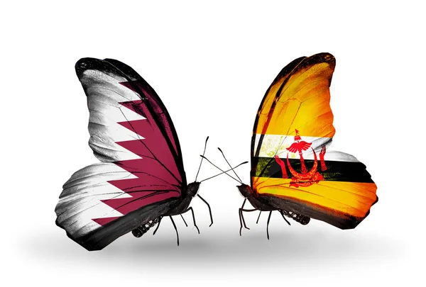 Papillons avec drapeaux Qatar et Brunei sur les ailes — Photo