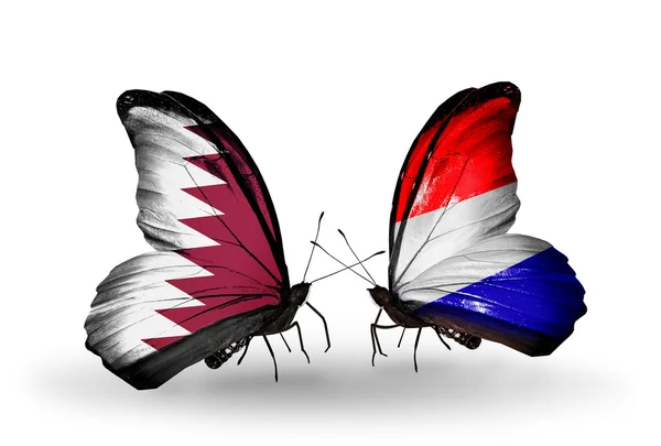 Butterflies with Qatar and Holland flags on wings — Stock Photo, Image