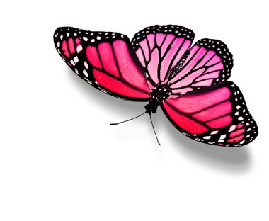 pembe kelebek