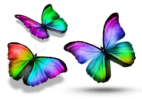 3 화려한 나비 — 스톡 사진