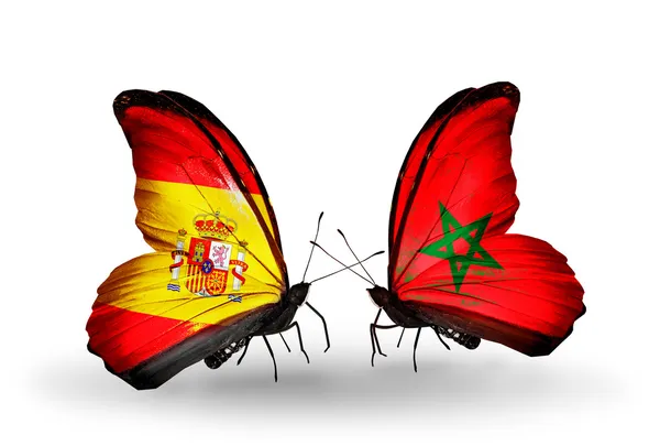 Butterflies with Spain and Morocco flags on wings — Stock Photo, Image