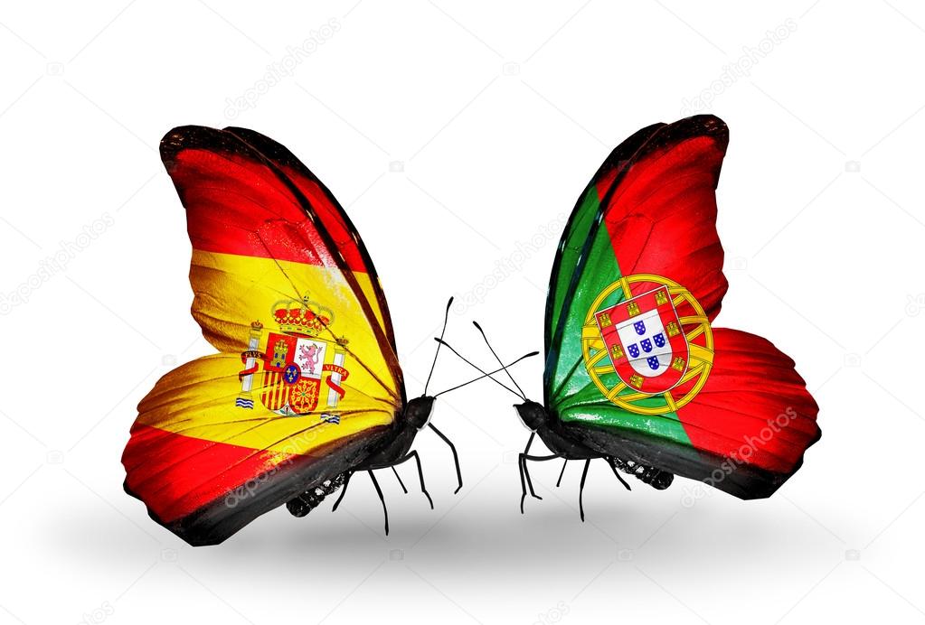 Butterflies With Spain And Portugal Flags On Wings Stock Photo Image By C Sun Tiger 40918577