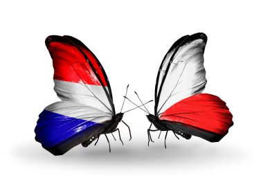 Kelebek kanatları üzerinde Hollanda ve Polonya bayrağı ile