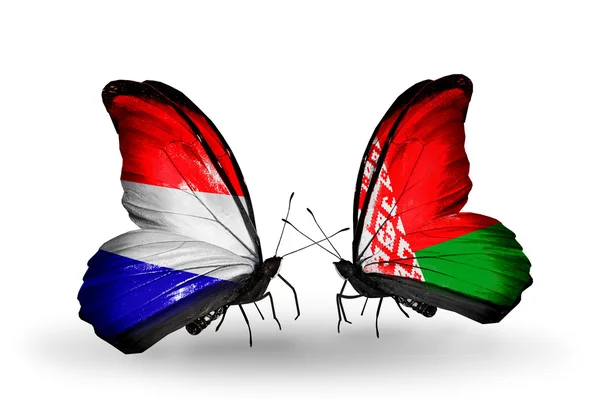 Motyle z Holandii i Białorusi flagi na skrzydłach — Zdjęcie stockowe