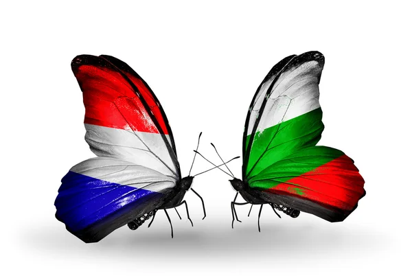Borboletas com bandeiras Holland e Bulgaria em asas — Fotografia de Stock
