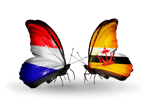 Mariposas con banderas de Holanda y Brunei en alas — Foto de Stock