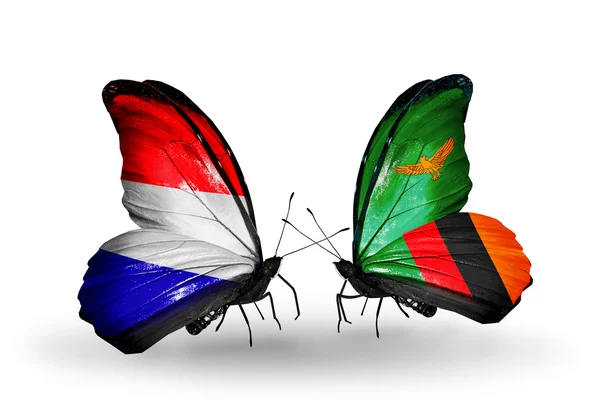 Бабочки с флажками Голландии и Замбии на крыльях — стоковое фото