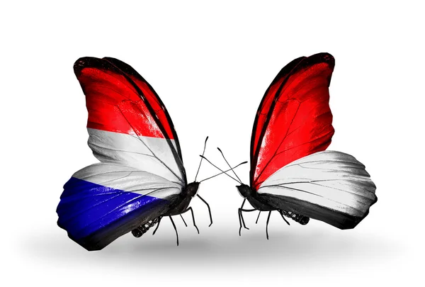 Motyle z Holandii i Monako, flagi Indonezji na skrzydłach — Zdjęcie stockowe