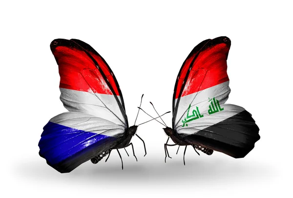 Schmetterlinge mit holländischen und irakischen Flaggen auf Flügeln — Stockfoto