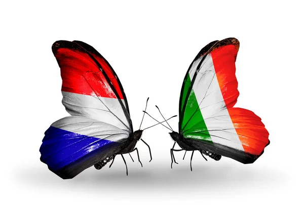 Butterflies with Holland and Ireland flags on wings — Stock Photo, Image