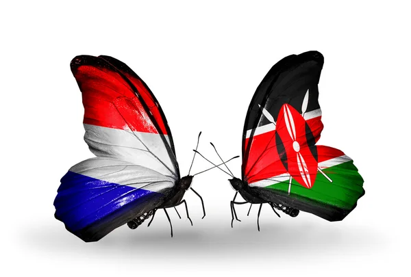 蝴蝶翅膀上的荷兰和肯尼亚标志 — 图库照片