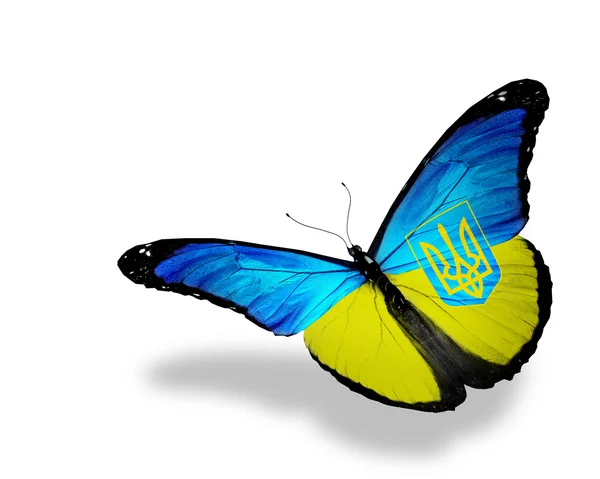 Bandera de Ucrania mariposa — Foto de Stock