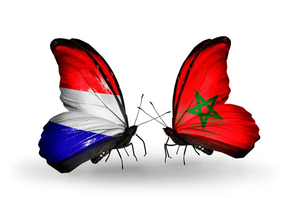 Butterflies with Holland and Morocco flags on wings — Stock Photo, Image