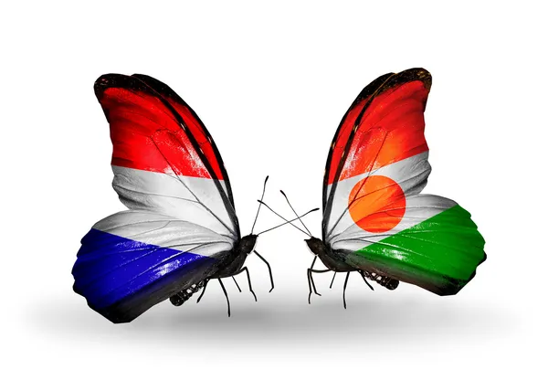 나비 날개에 네덜란드와 니제르 국기와 함께 — 스톡 사진