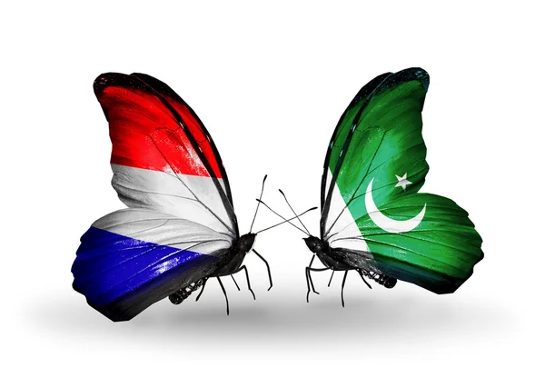 蝴蝶翅膀上的荷兰和巴基斯坦标志 — 图库照片
