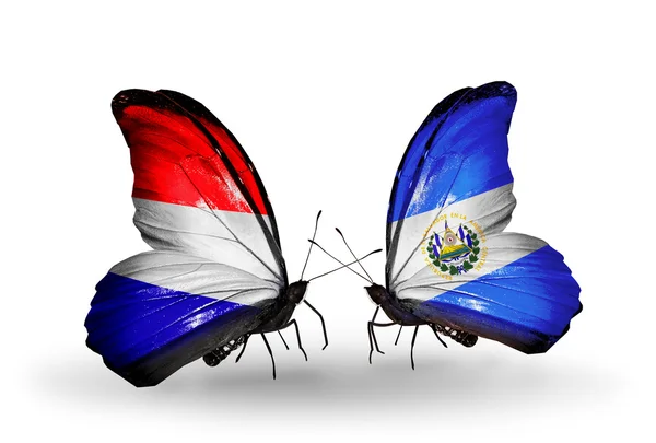 Pillangók szárnyain holland és salvador zászlókkal — Stock Fotó
