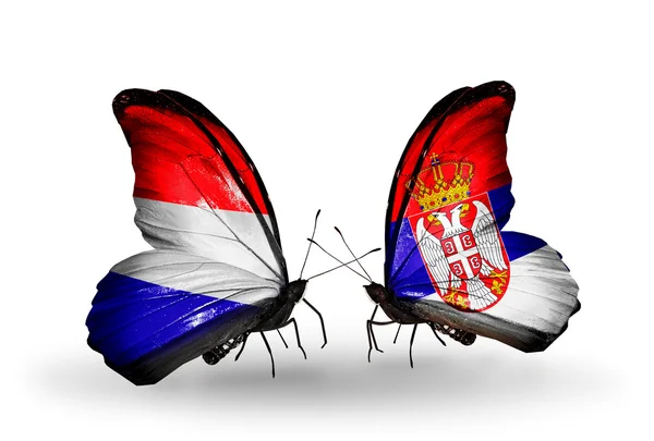 蝴蝶翅膀上的荷兰和塞尔维亚国旗 — 图库照片