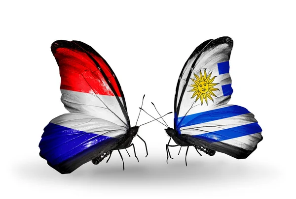 Schmetterlinge mit holländischen und uruguayischen Flaggen auf Flügeln — Stockfoto