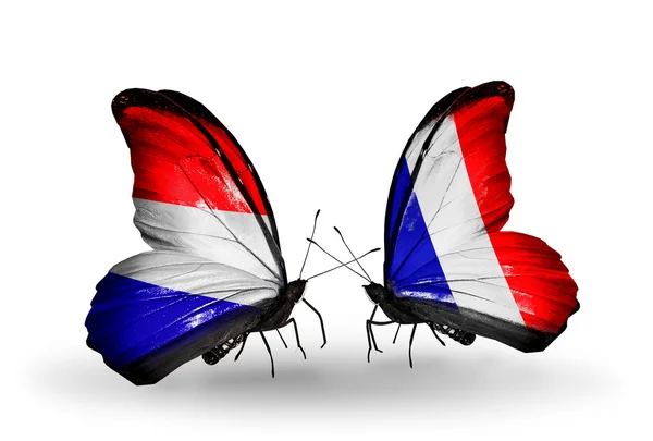 Papillons avec des drapeaux Hollande et France sur les ailes — Photo