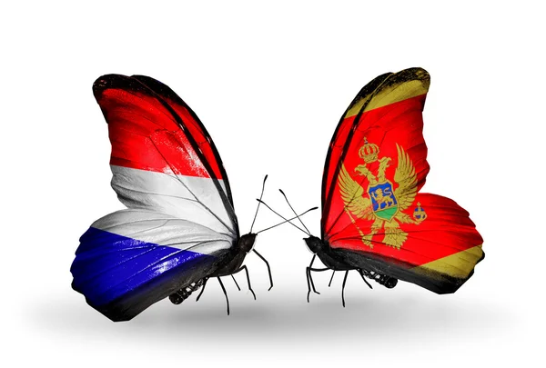 Butterflies with Holland and Montenegro flags on wings — Stock Photo, Image