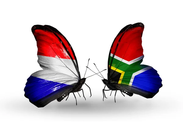 Mariposas con banderas de Holanda y Sudáfrica en alas — Foto de Stock