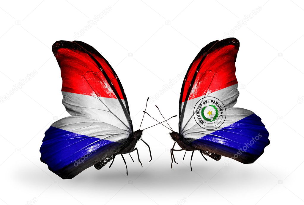 Mariposas con banderas de Holanda y Paraguay en alas fotografía de