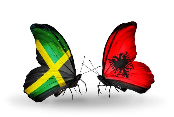 Farfalle con bandiere giamaicane e albanesi sulle ali — Foto Stock