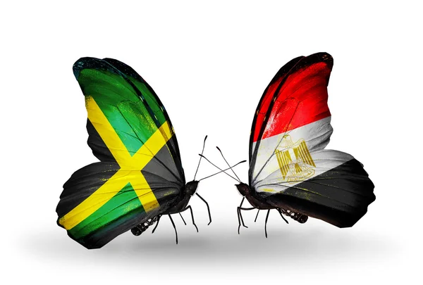 Motýli s příznaky Jamajky a egypt na křídlech — Stock fotografie