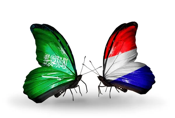 Motýli se Saúdskou Arábií a Holandsko vlajek na křídlech — Stock fotografie