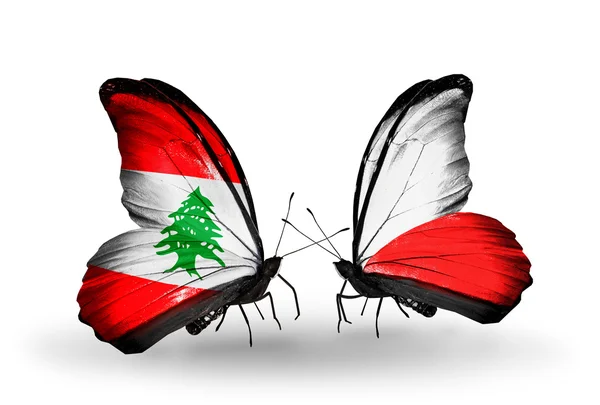 蝴蝶翅膀上的黎巴嫩和波兰标志 — 图库照片