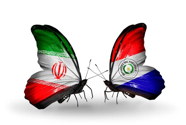 イランとパラグアイの国旗と蝶 — ストック写真
