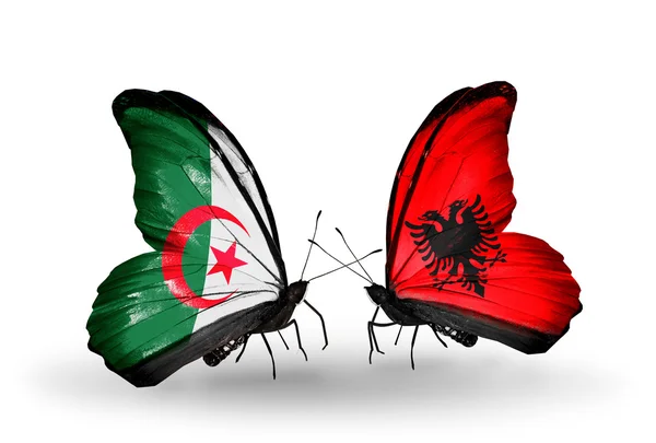 Duas borboletas com bandeiras de relações Argélia e Albânia — Fotografia de Stock