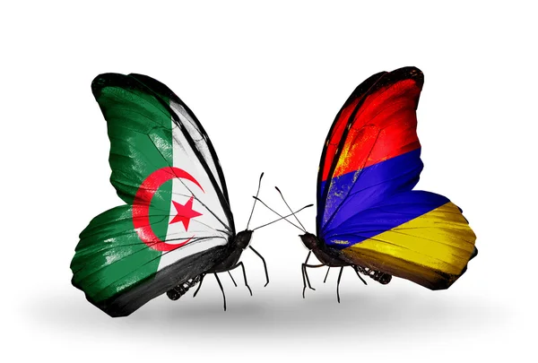 Zwei Schmetterlinge mit den Flaggen der Beziehungen Algerien und Armenien — Stockfoto