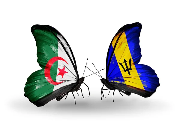 Duas borboletas com bandeiras de relações Argélia e Barbados — Fotografia de Stock