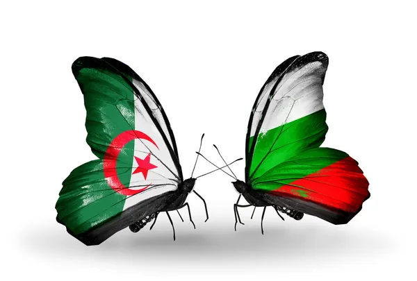 Two butterflies with flags of relations  Algeria and Bulgaria — Stock Photo, Image