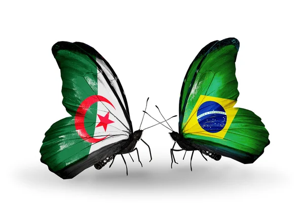 Duas borboletas com bandeiras de relações Argélia e Brasil — Fotografia de Stock
