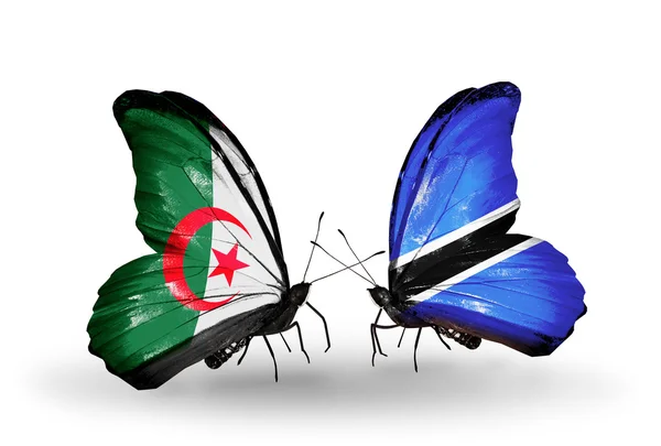 Dwa motyle z flagami stosunków, Algieria i Botswany — Zdjęcie stockowe