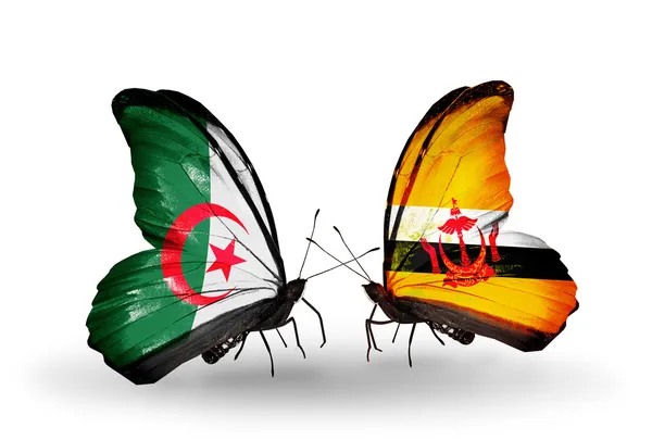 Dva motýli s vlajkami vztahů, Alžírska a Brunej — Stock fotografie
