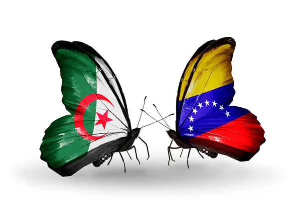 Twee vlinders met vlaggen van de betrekkingen, Algerije en venezuela — Stockfoto